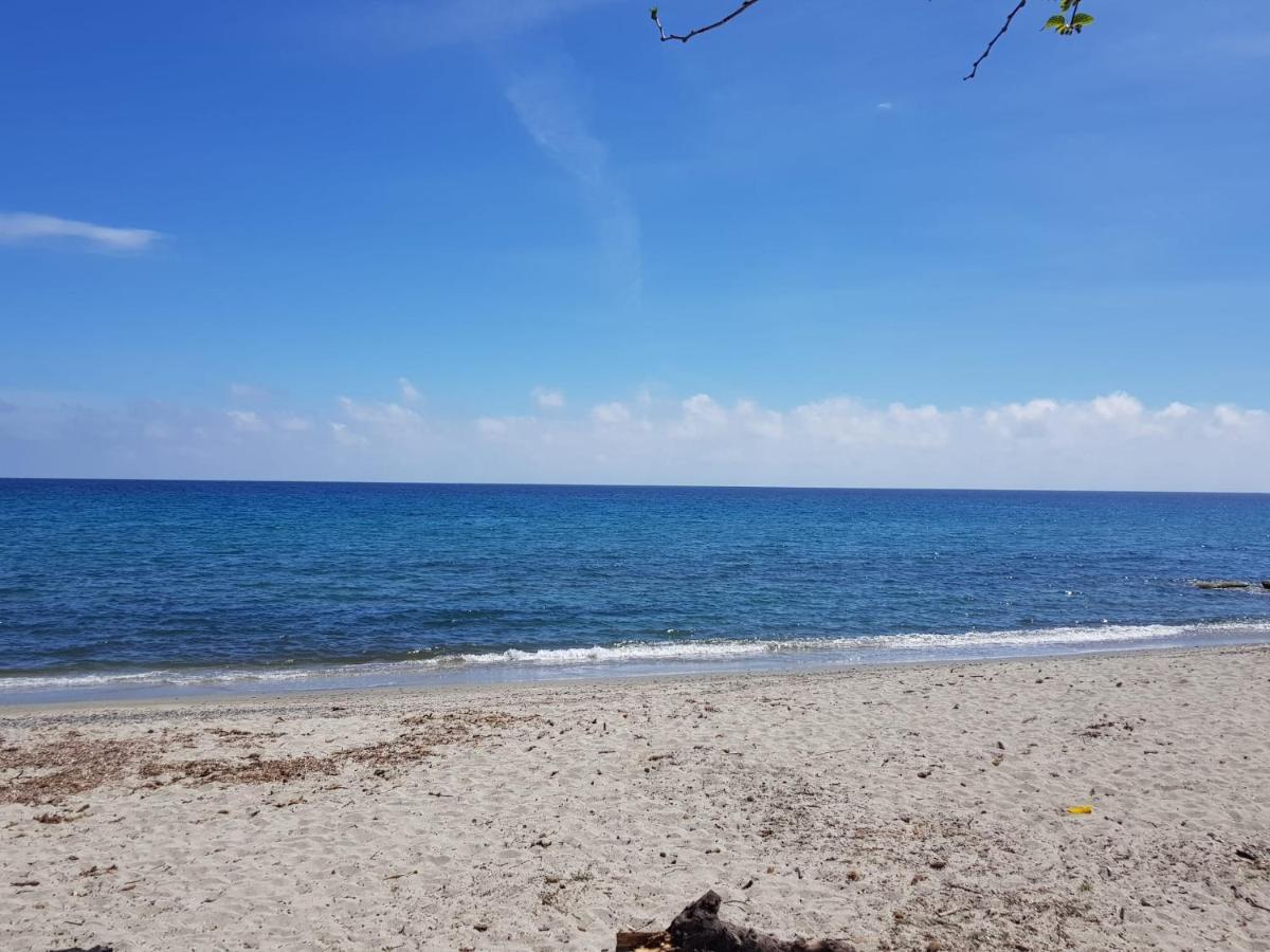 Maisons T2 Avec Jardins Privatifs - 10Mn De La Plage Et 5Mn Du Village - Casa Di I Trinelli Vescovato Exterior foto
